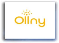 Ollny - Bring Sparkle To Your Life With Our Expansive Range Of Decorative Lights